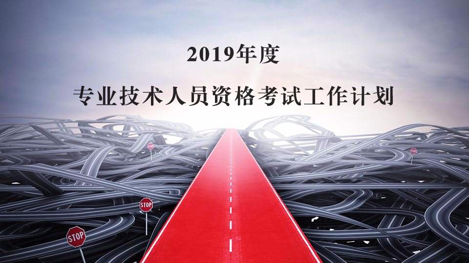 2019年度专业技术人员资格考试工作计划