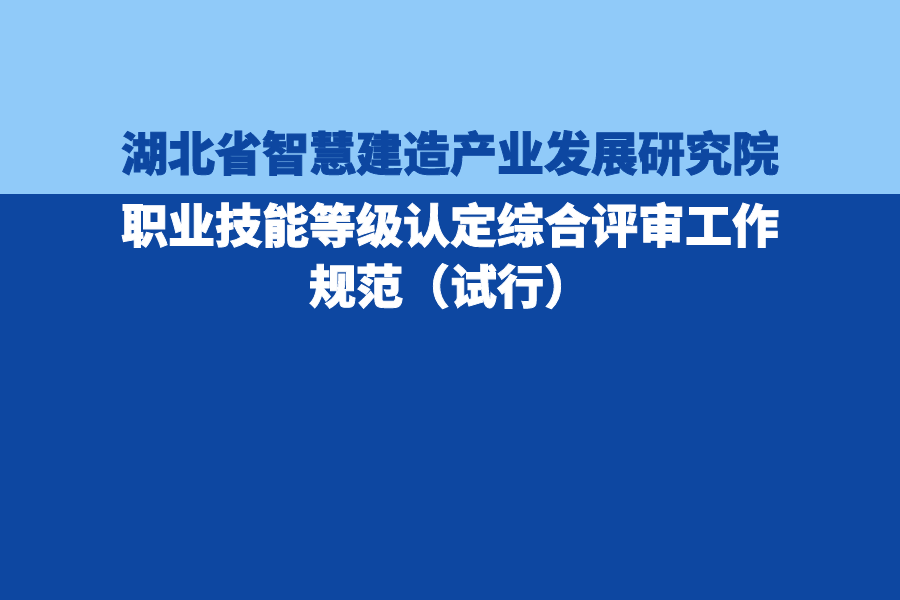 职业技能等级认定综合评审工作规范 （试行）